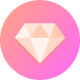 Pro Plan Icon
